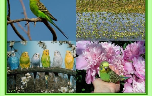 познавательные факты обо всём на свете