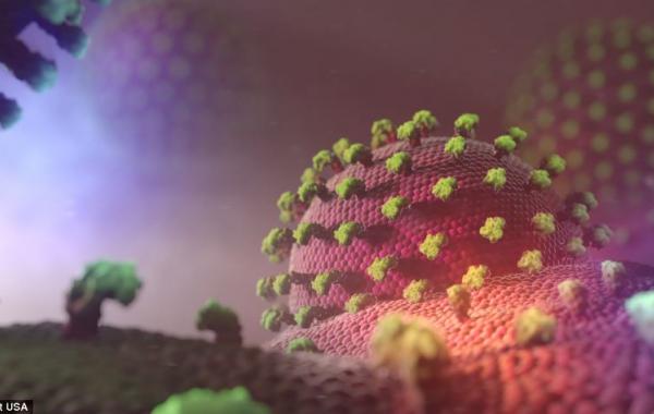 Фантастический мир внутри человека, XVIVO 