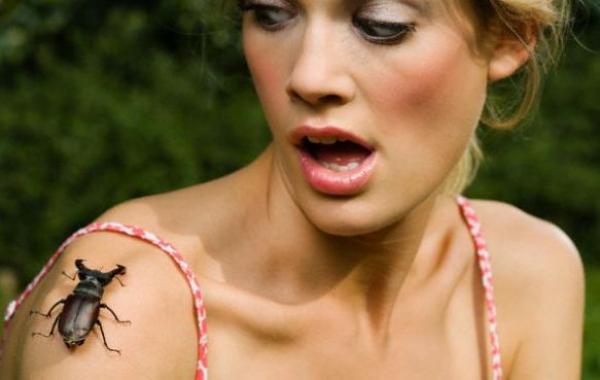 Страхи природных явлений, фобии подаренные нам природой, фобии вызванные природой