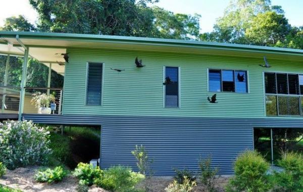 больница для лечения летучих мышей, больница для летучих мышей Толга, Tolga Bat Hospital)