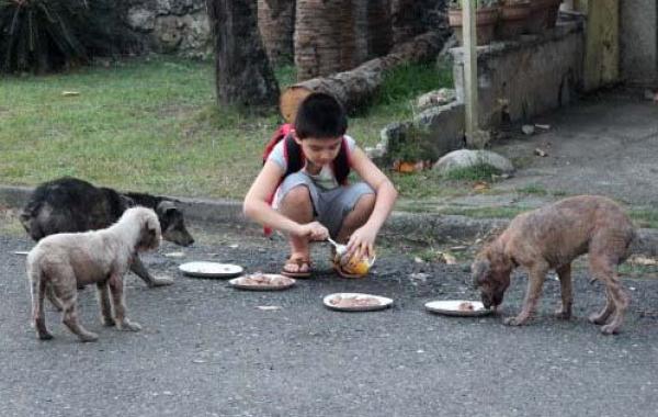 Папа с сыном спасли жизни 3 собак, а после построили приют для животных
