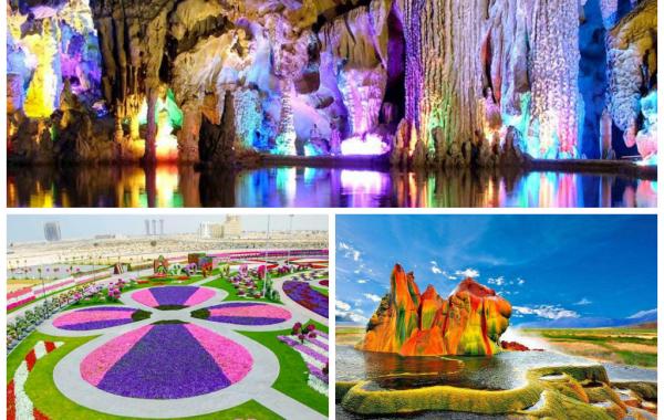 яркие краски мира