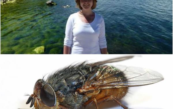 неудачный отпуск, истории о неудачных отпусках