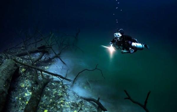 Река на дне озера, город Тулум, полуостров Юкатан, Сенота Анджелита (Cenote Angelita)