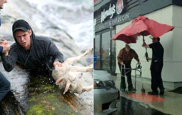 добрые дела, восстановят веру в человечество