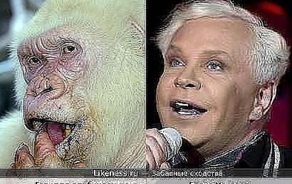 Забавные сходства звёзд