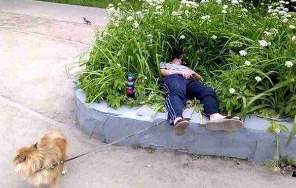 эту страну не победить, умом Россию не понять, только в  России, это Россия детка