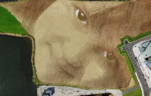 Гигантский портрет девочки на 11-акрах земли в Белфасте, Хорхе Родригес-Герада