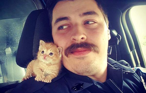 Полицейский спас крохотного котёнка, Squirt  котёнок