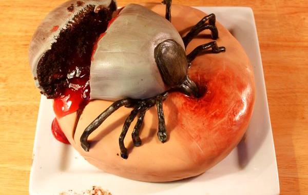 жуткие торты, тошнотворные торты, Кэтрин Дей, Katherine Dey