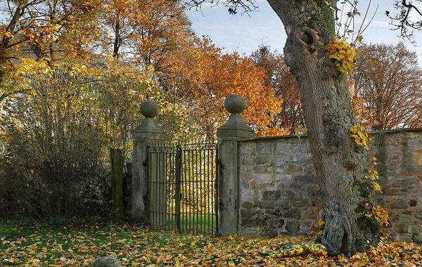 сможете найти женщину на фотографии, боди арт найти женщину на фотографии, Йорг Дустервальд, Jörg Düsterwald