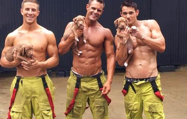 Пожарные позируют со щенками для благотворительного календаря, Firefighters Calendar