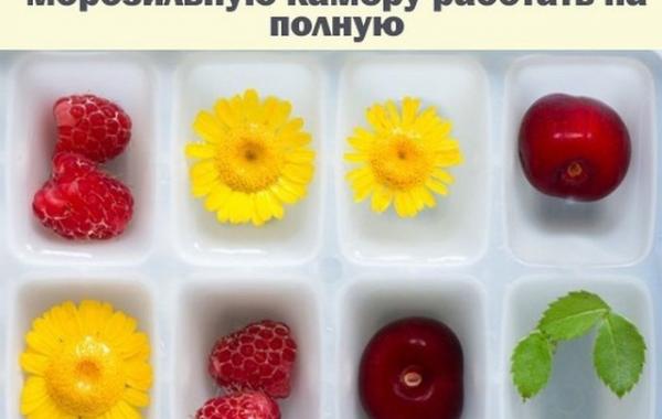 рецепты для морозилки,формы для льда,летние рецепты 