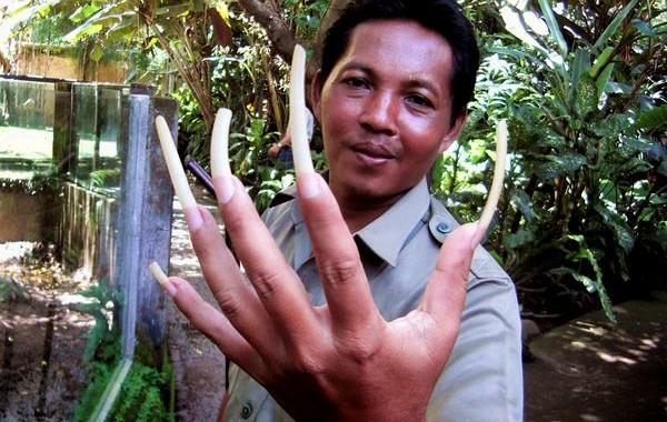 национальные особенности жителей Индонезии, всё о индонезии