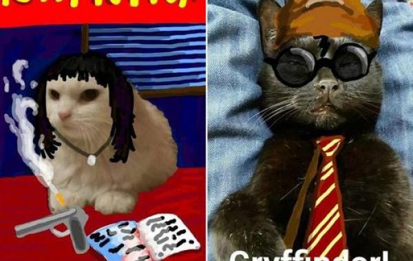 кошки пародии на персонажей, кошки пародии на фильмы