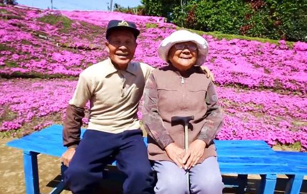 Муж потратил 2 года сажая цветы, цветы для слепой жены