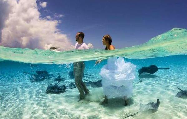 National Geographic Photo Contest 2015