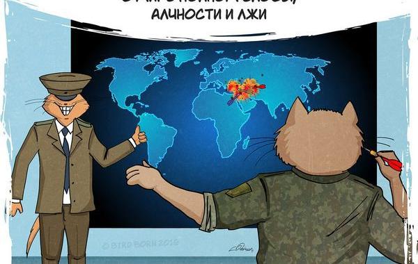 Bird Born, всё что вам нужно это любовь