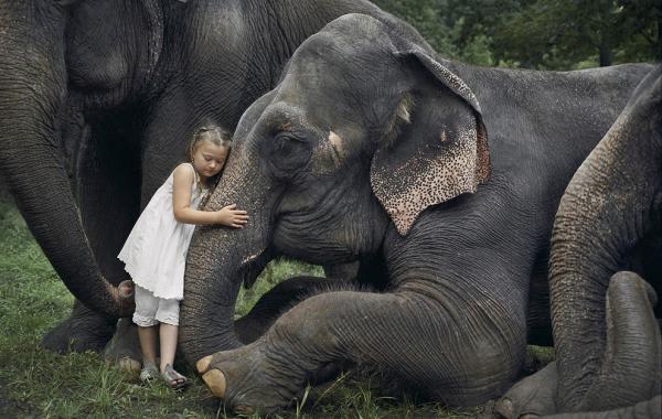 дети и животные дружба