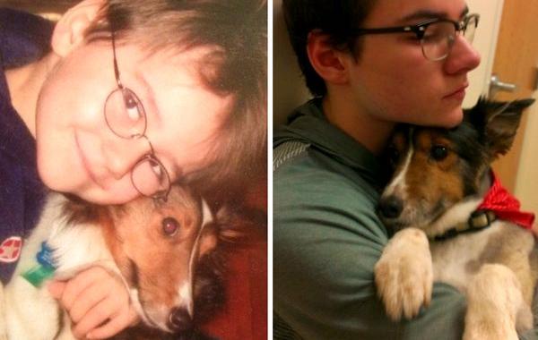 Первые и последние фотографии домашних животных, Первые и последние фотографии питомцев