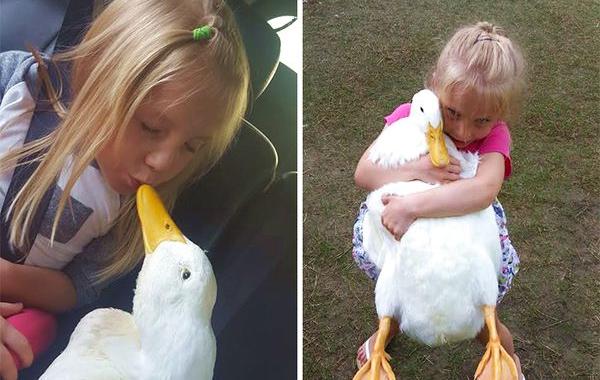 девочка и утка, дружба 5-летней девочки и её утки