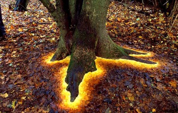 лэнд-арт, Энди Голдсуорти, Andy Goldsworthy