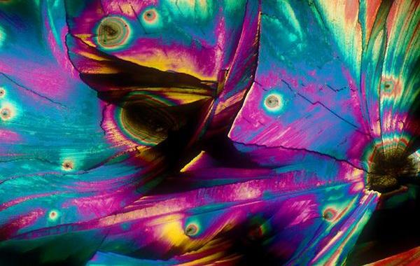 Алкоголь под микроскопом