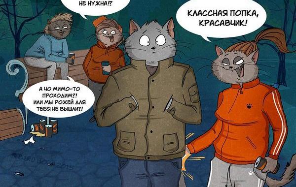 если бы мужчины и женщины поменялись местами, Bird Born