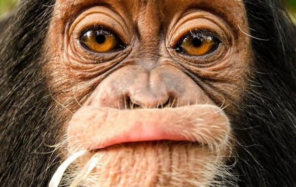 Работы участников фотоконкурса National Geographic Photo Contest 2013