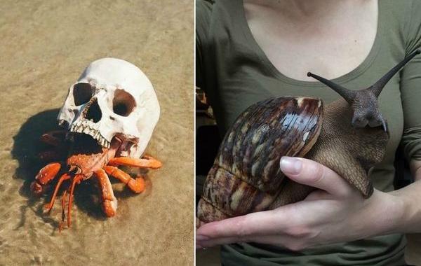 фотографии без фотошопа, без использования фотошопа