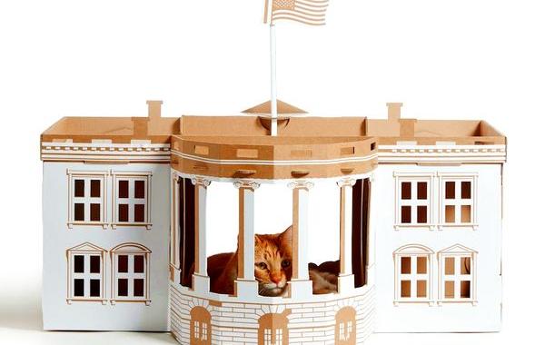 картонные кошачьи домики, Poopy Cat