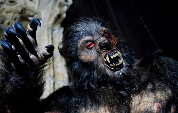 10 мистических историй, доказывающих, что оборотни действительно существовали