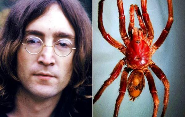 животные открытые в 2015 году, животные открытые в этом году