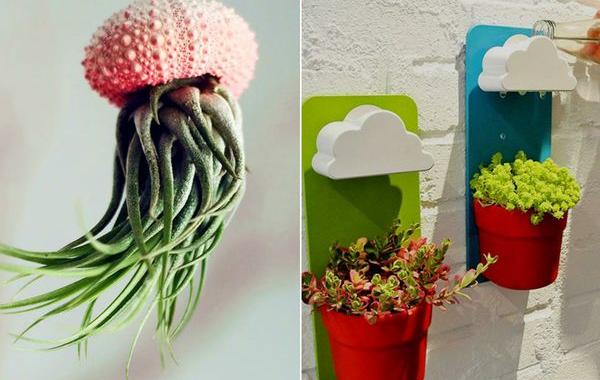 креативные цветочные горшки