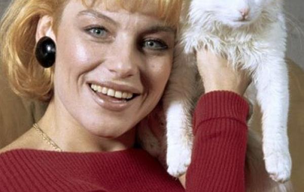 Ирина Понаровская тогда, раньше, пластические операции