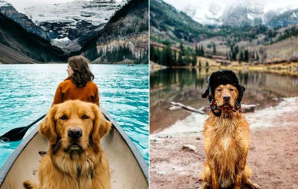 путешествия мужчины и его собаки, ретривер Аспен
