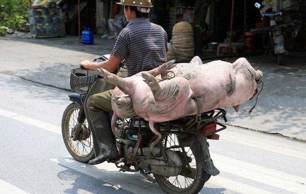 факты о вьетнамцах, национальные особенности жителей Вьетнама