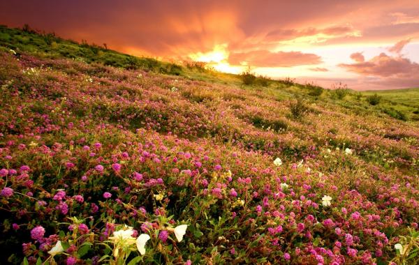 Самые уединённые места на планете