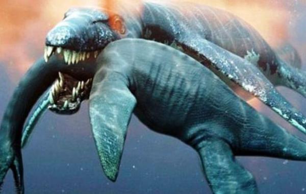 10 странных и невероятных животных открытых за последнее время