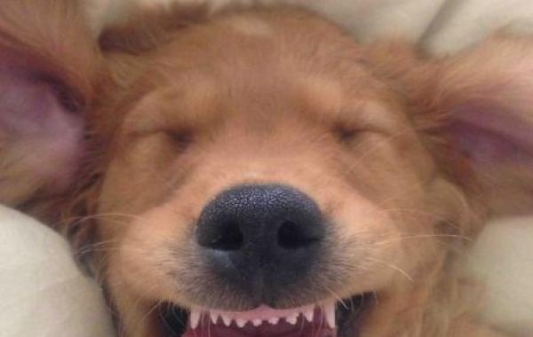 смешные картинки юмор