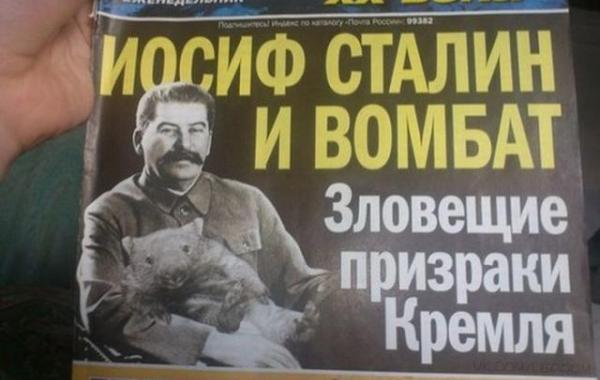 смешные надписи и объявления, маразмы