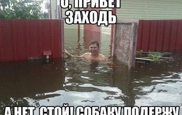 смешные фото, прикол,юмор,смешные картинки 