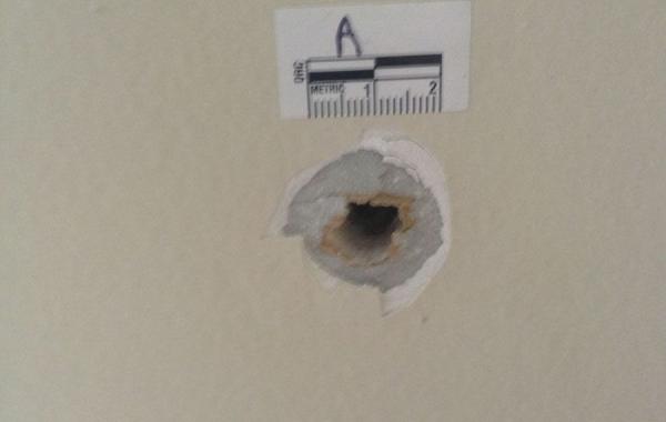 Случайная пуля полицейского, пробила стену и попала в жилой дом