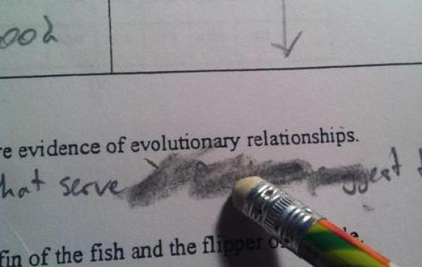 Повседневные вещи, которые бесят