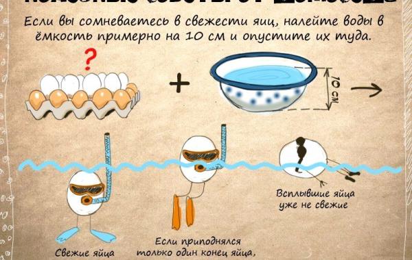 полезные советы от домоседа, полезные кулинарные советы