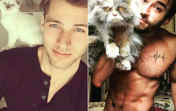 Горячие парни с кошками, парни и кошки