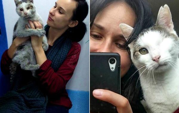 Пират одноглазый кот, спасённый одноглазый кот