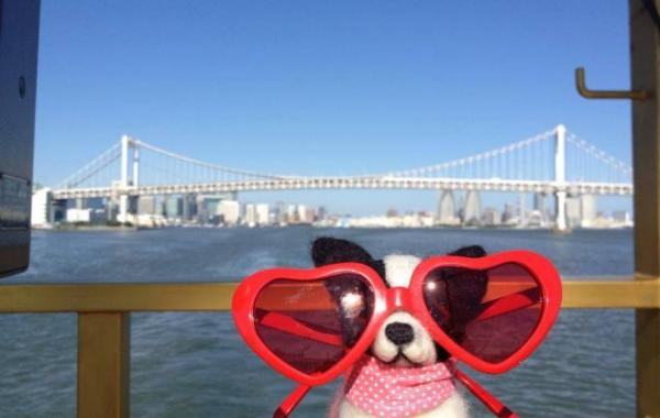 Путешествие для плюшевых игрушек