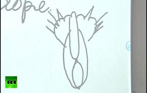 путин рисунок, кошка вид сзади, путин жжёт,курган