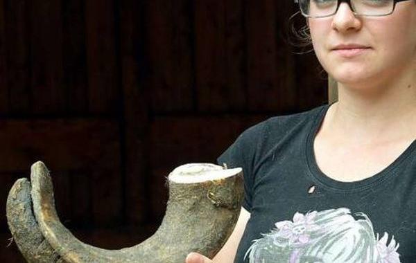 лошади неподкованные Бернд Кристоф копыта